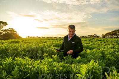 October 2022 / KANGAROO-FLAT-0206