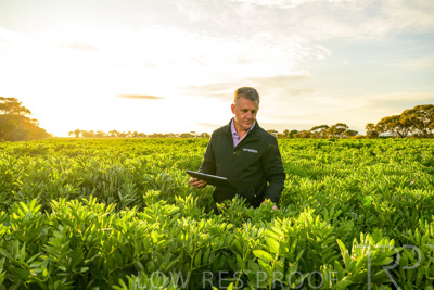 October 2022 / KANGAROO-FLAT-0207