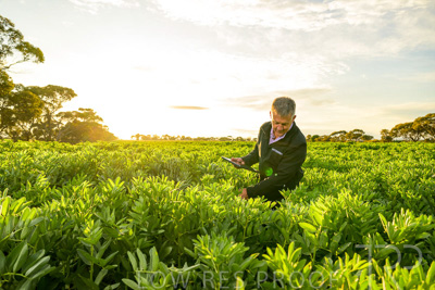 October 2022 / KANGAROO-FLAT-0209