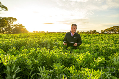 October 2022 / KANGAROO-FLAT-0211