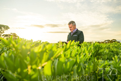 October 2022 / KANGAROO-FLAT-0216