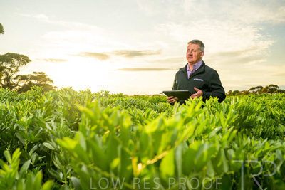 October 2022 / KANGAROO-FLAT-0218