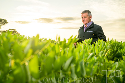 October 2022 / KANGAROO-FLAT-0219