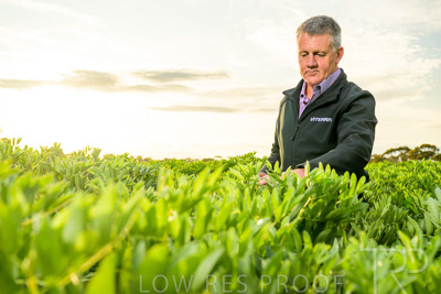 October 2022 / KANGAROO-FLAT-0220