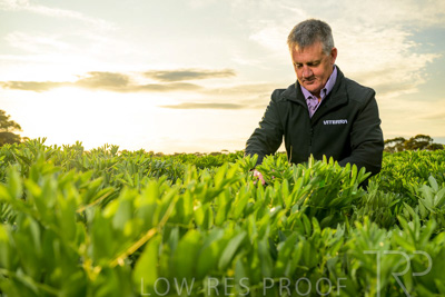 October 2022 / KANGAROO-FLAT-0221