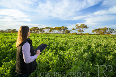 October 2022 / KANGAROO-FLAT-0229