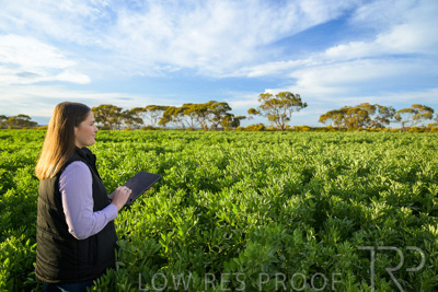 October 2022 / KANGAROO-FLAT-0231