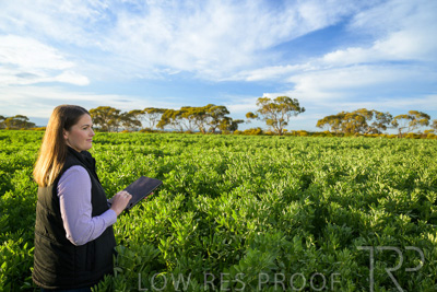 October 2022 / KANGAROO-FLAT-0232