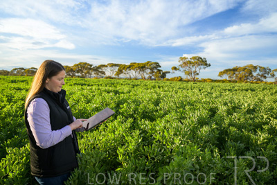 October 2022 / KANGAROO-FLAT-0233