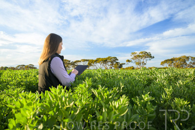 October 2022 / KANGAROO-FLAT-0235