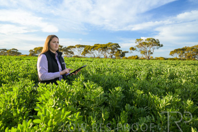 October 2022 / KANGAROO-FLAT-0239