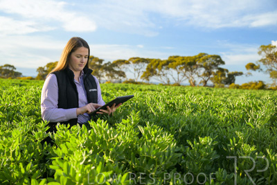 October 2022 / KANGAROO-FLAT-0240