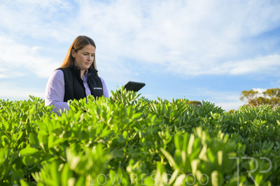 October 2022 / KANGAROO-FLAT-0243