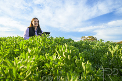 October 2022 / KANGAROO-FLAT-0246