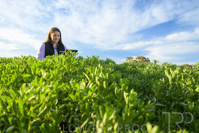 October 2022 / KANGAROO-FLAT-0247