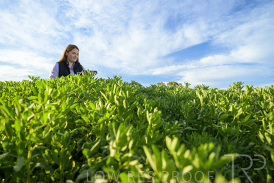 October 2022 / KANGAROO-FLAT-0248