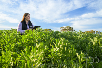 October 2022 / KANGAROO-FLAT-0249