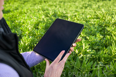 October 2022 / KANGAROO-FLAT-0251