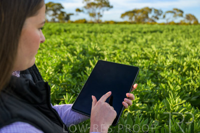 October 2022 / KANGAROO-FLAT-0252