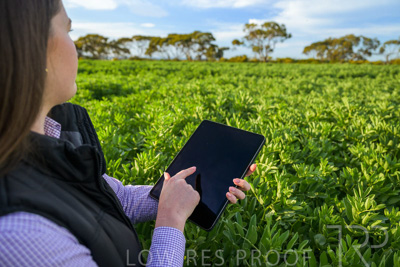 October 2022 / KANGAROO-FLAT-0257