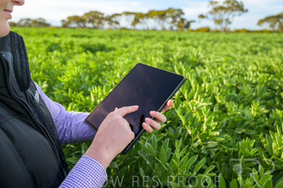 October 2022 / KANGAROO-FLAT-0261