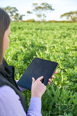 October 2022 / KANGAROO-FLAT-0263