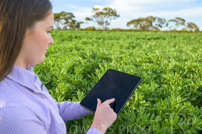 October 2022 / KANGAROO-FLAT-0265