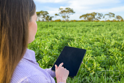 October 2022 / KANGAROO-FLAT-0269