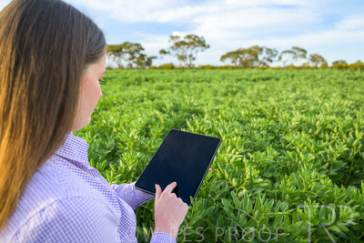 October 2022 / KANGAROO-FLAT-0271