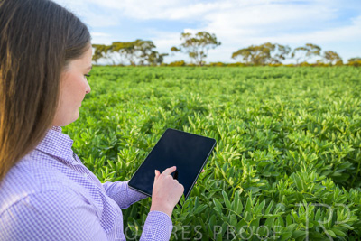 October 2022 / KANGAROO-FLAT-0272