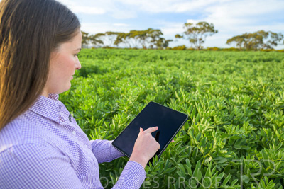 October 2022 / KANGAROO-FLAT-0274