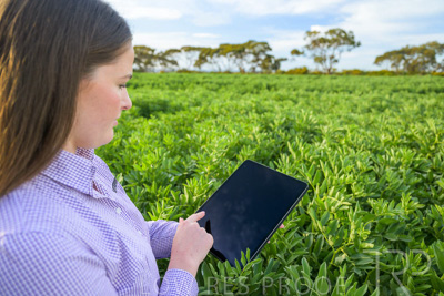 October 2022 / KANGAROO-FLAT-0275