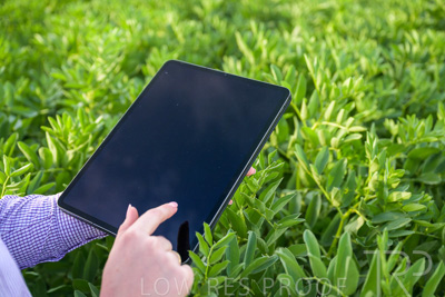 October 2022 / KANGAROO-FLAT-0277