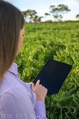 October 2022 / KANGAROO-FLAT-0278