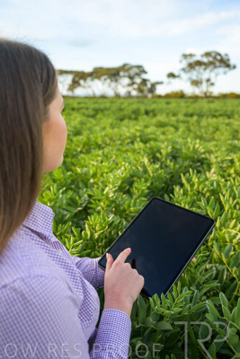 October 2022 / KANGAROO-FLAT-0279