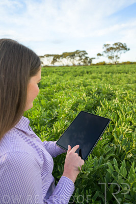 October 2022 / KANGAROO-FLAT-0281