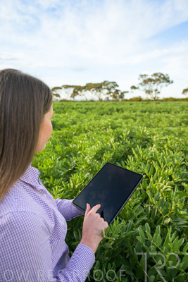 October 2022 / KANGAROO-FLAT-0282