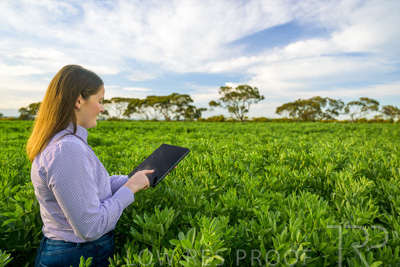 October 2022 / KANGAROO-FLAT-0284