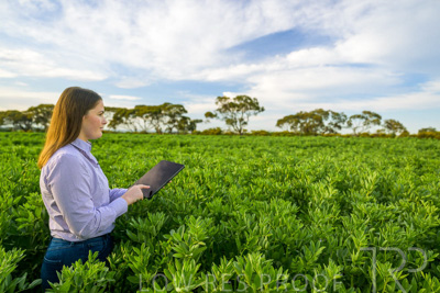 October 2022 / KANGAROO-FLAT-0287