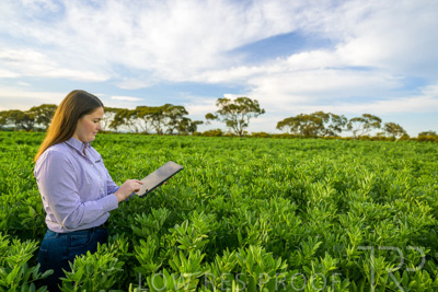 October 2022 / KANGAROO-FLAT-0288