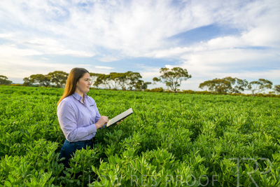 October 2022 / KANGAROO-FLAT-0291