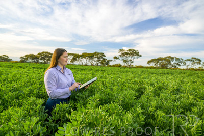 October 2022 / KANGAROO-FLAT-0292