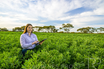 October 2022 / KANGAROO-FLAT-0294