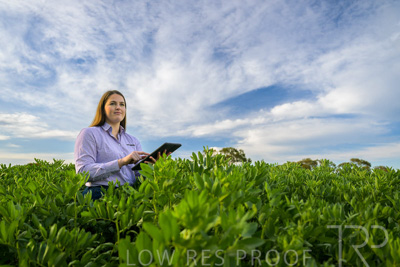 October 2022 / KANGAROO-FLAT-0298