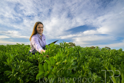 October 2022 / KANGAROO-FLAT-0302