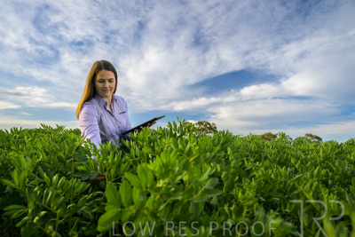 October 2022 / KANGAROO-FLAT-0305