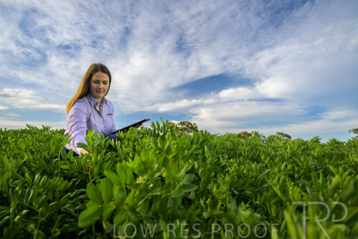 October 2022 / KANGAROO-FLAT-0307