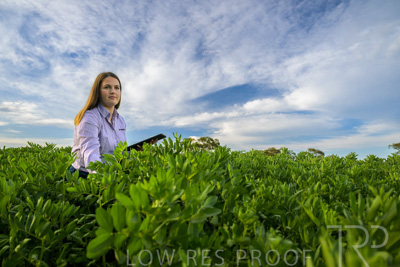 October 2022 / KANGAROO-FLAT-0308