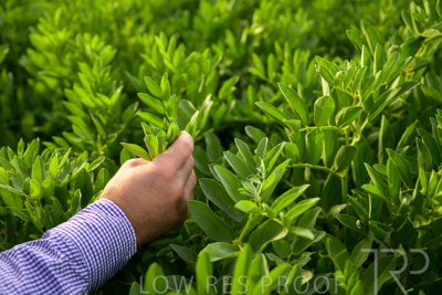 October 2022 / KANGAROO-FLAT-0312