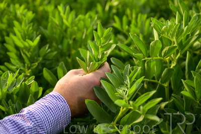 October 2022 / KANGAROO-FLAT-0313